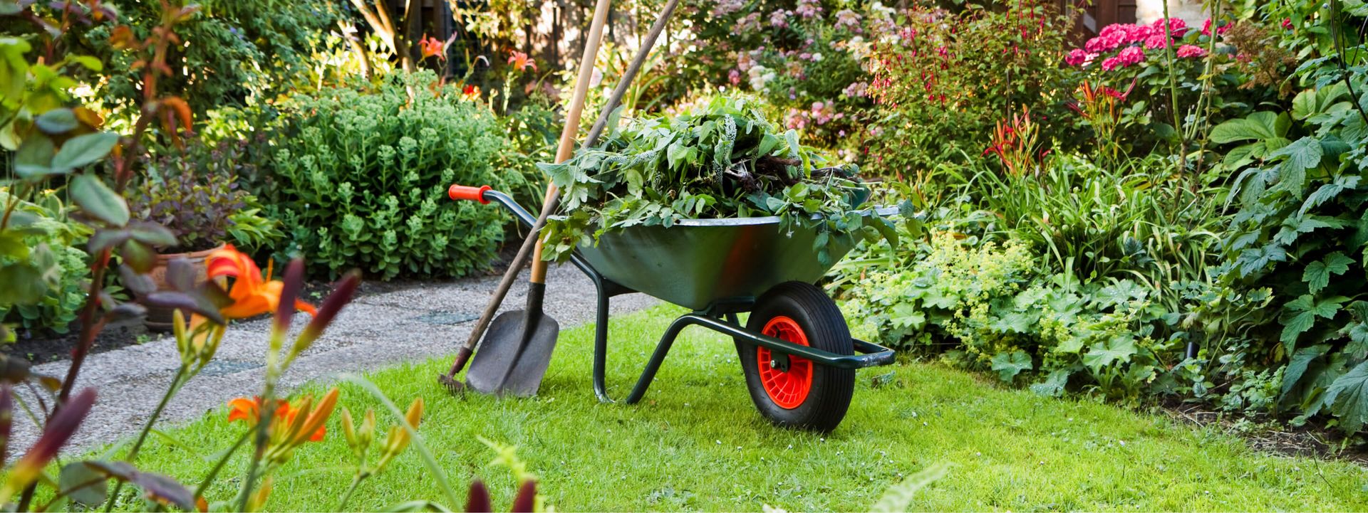 Garten mit grünem Rasen, bepflanzten Beeten und einer grünen Schubkarre mit rotem Rad auf dem Rasen